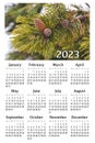 Botanical calendar for 2023. Vertical wall calendar