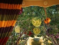 Botanical Ceiling Arrangement with Fairy Lights