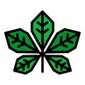 Botanical chestnut leaf icon color outline vector Royalty Free Stock Photo