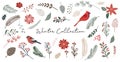 Botanical Christmas, Xmas elements, winter flowers, leaves, birds and pinecones isolated on white backgrounds.