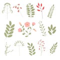 Botanical clipart. Set of Green leaves, herbs and branches. Floral Design elements. Royalty Free Stock Photo