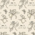 Botanical collection,gardening design elements, flower, leaves.