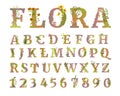 Botanical colorful letters and numbers. Floral cute font. Herbal alphabet.