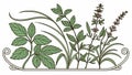 Botanical design element herbs leaves pattern vector design Generative AI Royalty Free Stock Photo