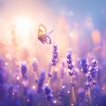 Botanical enchantment Purple lavender blooms with a delicate butterfly and bokeh Royalty Free Stock Photo