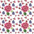 Botanical floral background with red roses and hyacinth.