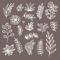 Botanical floral doodle design elements vector set Royalty Free Stock Photo