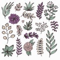 Botanical floral doodle design elements vector set Royalty Free Stock Photo