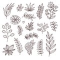 Botanical floral doodle design elements vector set Royalty Free Stock Photo