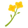 Botanical floral icon cartoon vector. Rapeseed flower Royalty Free Stock Photo