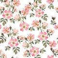 Botanical floral seamless pattern with rosehip and leaves on white background. Watercolor wild roses print