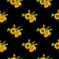 Botanical floral seamless pattern, wild meadow sunflower, isolated on black background, for book, cover, banner, textile