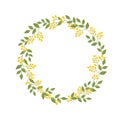 Botanical floral wreath with twigs of yellow sandthorn berries green leaves on white. Template mock up for text lettering. Vector Royalty Free Stock Photo