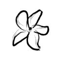 botanical floristic contour flower blossom open buds . isolated minimalistic white and black flower