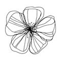 botanical floristic contour flower blossom open buds . Vector isolated minimalistic white and black flower