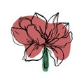 botanical floristic contour flower peonies, poppies tulips open buds and closed. Vector isolated minimalistic terracotta flower