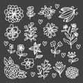 Botanical flower doodle design elements vector set Royalty Free Stock Photo