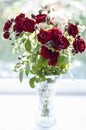 bouquet flowers in glass bottle. instagram toned. orange color, green vase, flora, bouqet of orange flowers, nature, botanical, be Royalty Free Stock Photo