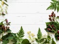 Botanical frame of blackberry, chamomile, linden flower, clover on wood background. Flat lay composition from fresh wild herbs and