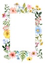 A botanical frame featuring watercolor hand-painted wildflowers and leaves on a white background Royalty Free Stock Photo