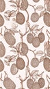 Botanical Fruit Pattern - Vintage Style Jackfruit Illustration on Cream Background Royalty Free Stock Photo