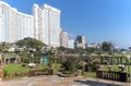 Botanical Garden Against City Skyline on Durban Beachfront