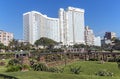 Botanical Garden Against City Skyline on Durban Beachfront