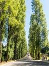 Botanical Garden of the Austral University. Valdivia, Chile, South America, Teja island. De los Rios Region