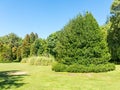 Botanical Garden of the Austral University. Valdivia, Chile, South America, Teja island. De los Rios Region