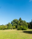 Botanical Garden of the Austral University. Valdivia, Chile, South America, Teja island. De los Rios Region