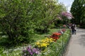 Botanical garden of Bucharest on a sunny spring day