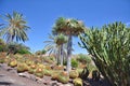 Botanical garden on Fuerteventura island, Canaries