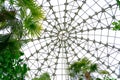 Botanical garden glass ceiling