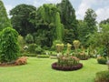 Botanical Garden, Kandy