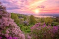 Botanical garden in Kyiv Kiev at sunrise. Amazing morning landscape with blossoming lilac, Ukraine