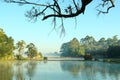 Botanical garden lake