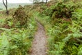 Botanical Garden Le Vallon du Stang Alar Brest France 28 may 2018 - a walking track