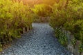 Botanical Garden Le Vallon du Stang Alar Brest France 27 may 2018 - a walking track
