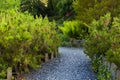 Botanical Garden Le Vallon du Stang Alar Brest France 27 may 2018 - a walking track