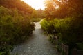 Botanical Garden Le Vallon du Stang Alar Brest France 28 may 2018 - a walking track