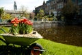 Botanical Garden - Leiden - Netherlands Royalty Free Stock Photo