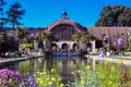 Botanical Garden and lily pond in Balboa Park, San Diego, California Royalty Free Stock Photo