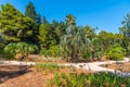 Botanical garden at Lokrum island near Dubrovnik in Croatia Royalty Free Stock Photo