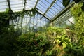 Botanical garden in London with green house