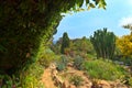Botanical garden on Mediterranean coast of Spain, Blanes Royalty Free Stock Photo