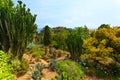 Botanical garden on Mediterranean coast of Spain, Blanes Royalty Free Stock Photo