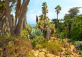Botanical garden on Mediterranean coast of Spain, Blanes Royalty Free Stock Photo