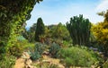 Botanical garden on Mediterranean coast of Spain , Blanes. Royalty Free Stock Photo