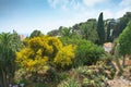 Botanical garden on Mediterranean coast of Spain , Blanes. Royalty Free Stock Photo
