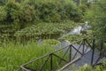 Wooden terrace for viewing a decorative pond overgrown with lotus flowers. B